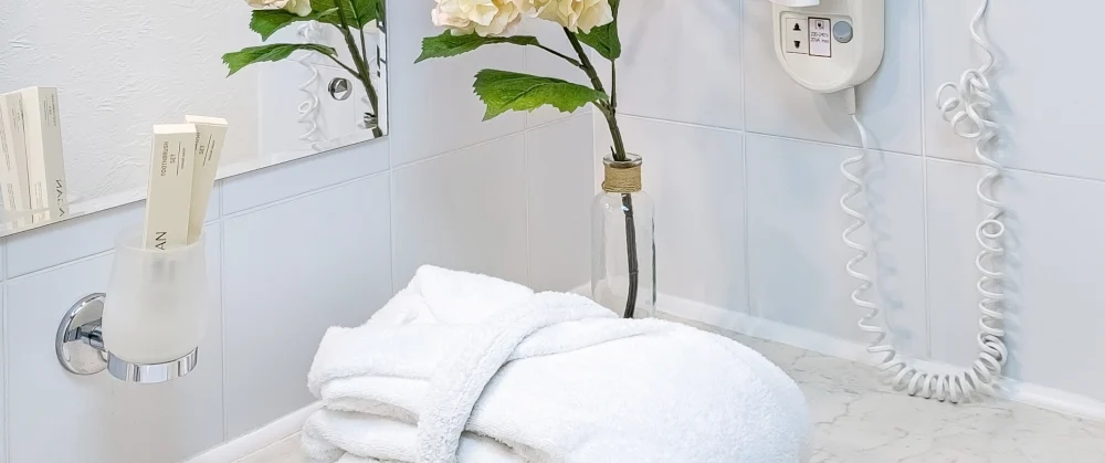 Делюкс - Отель «Вознесенский»