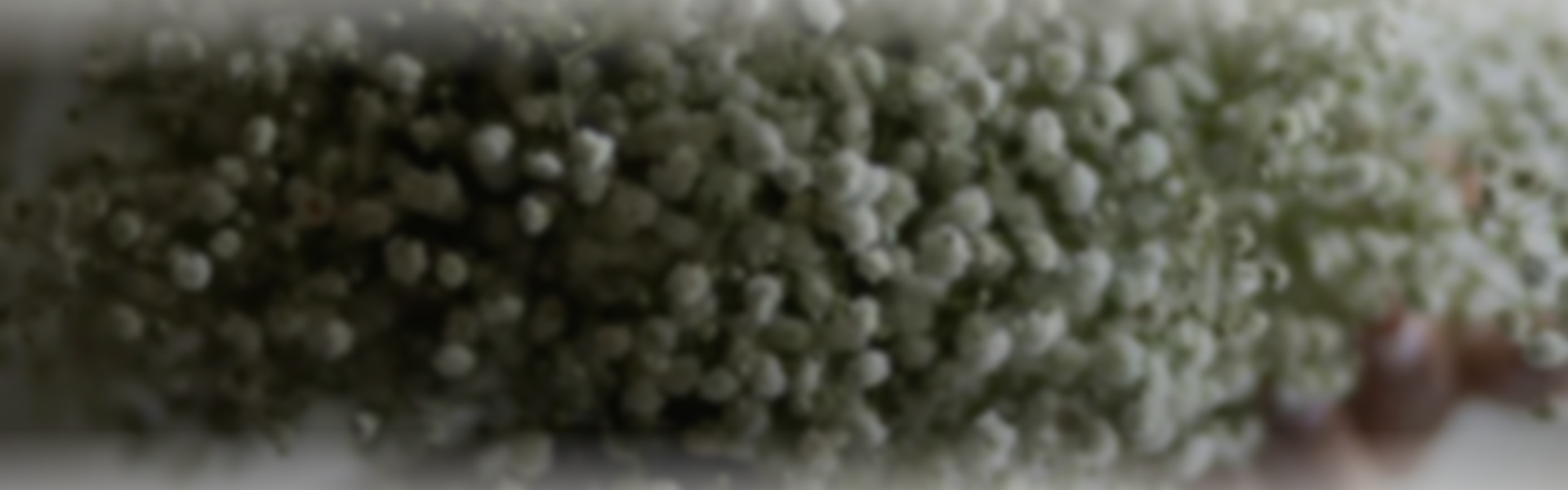 Романтический вечер